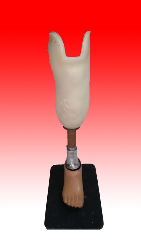 Kaki Palsu Bawah Lutut